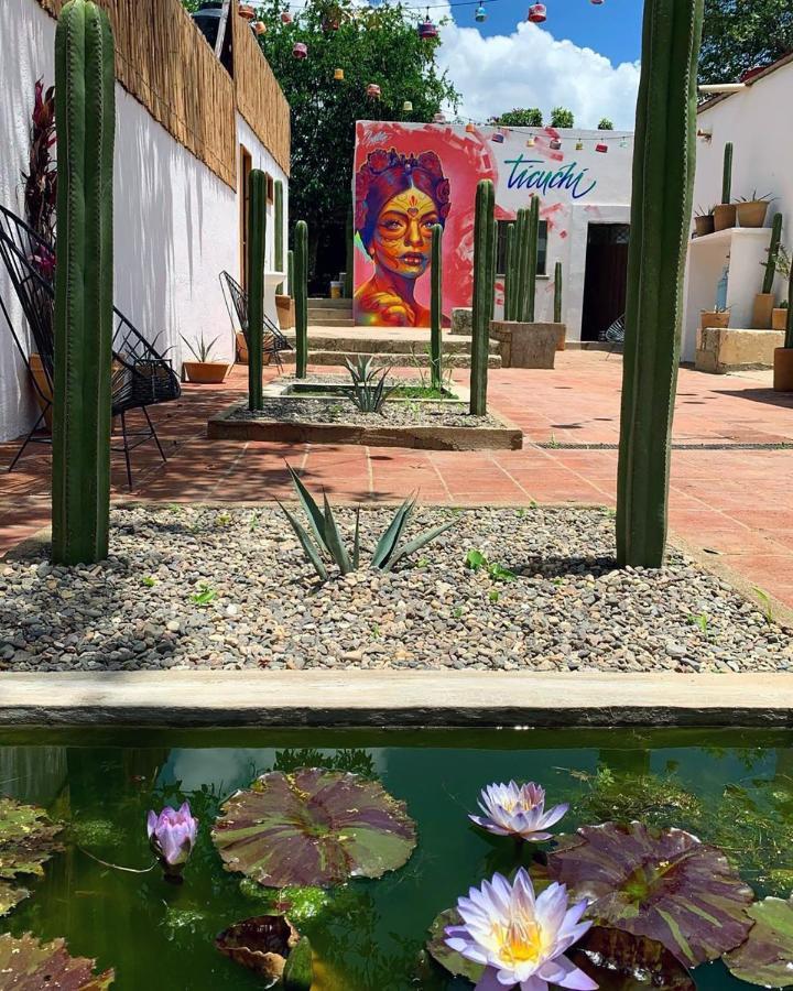 Ticuchi Hostal Oaxaca Exteriör bild